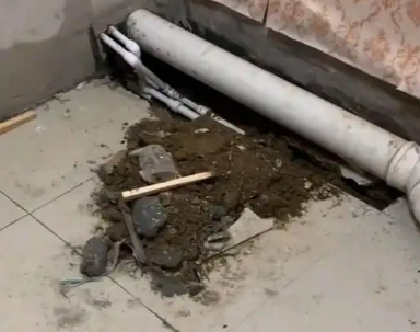 苏尼特右卫生间漏水检测哪家好