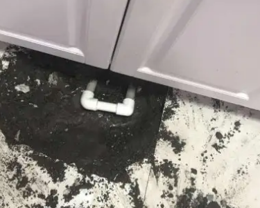 苏尼特右查漏水哪家好
